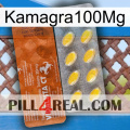 Kamagra100Mg 42